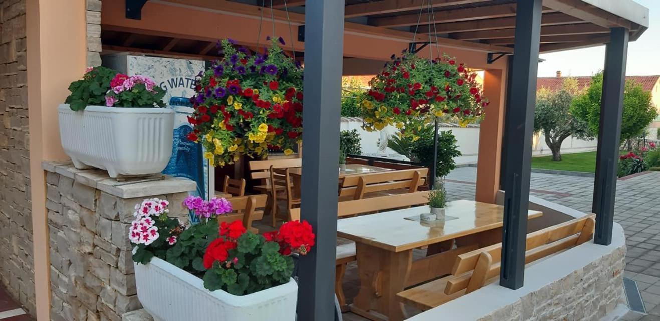 Villa Dalmatina Zadar Mit Pool 외부 사진