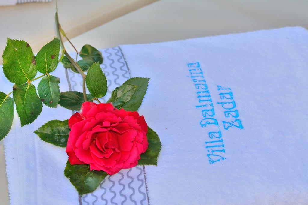 Villa Dalmatina Zadar Mit Pool 외부 사진